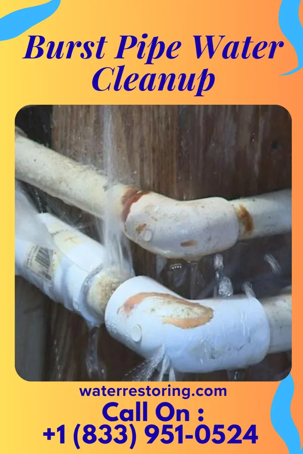 Burst Pipe Water Cleanup in Little Canada, MN