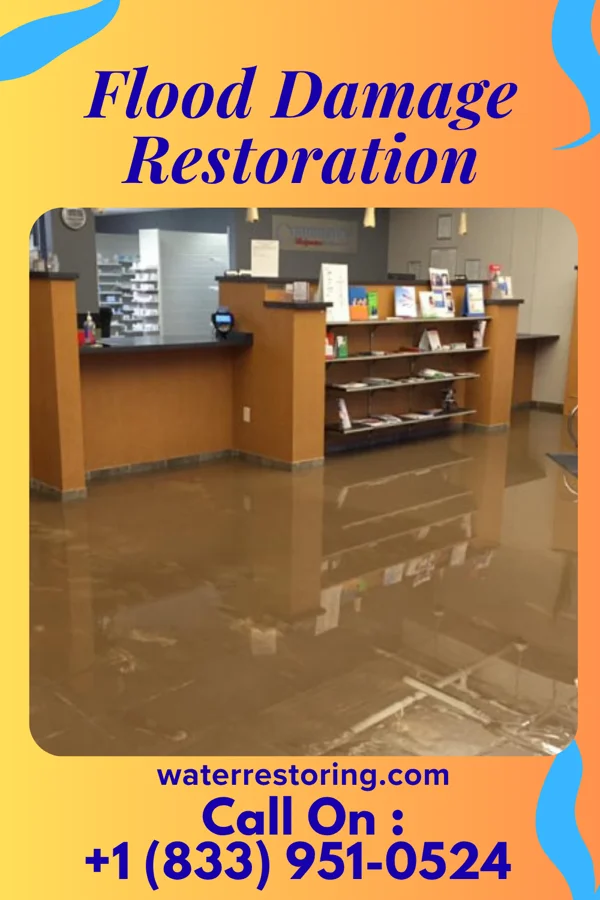 Flood Damage Restoration in Little Canada, MN