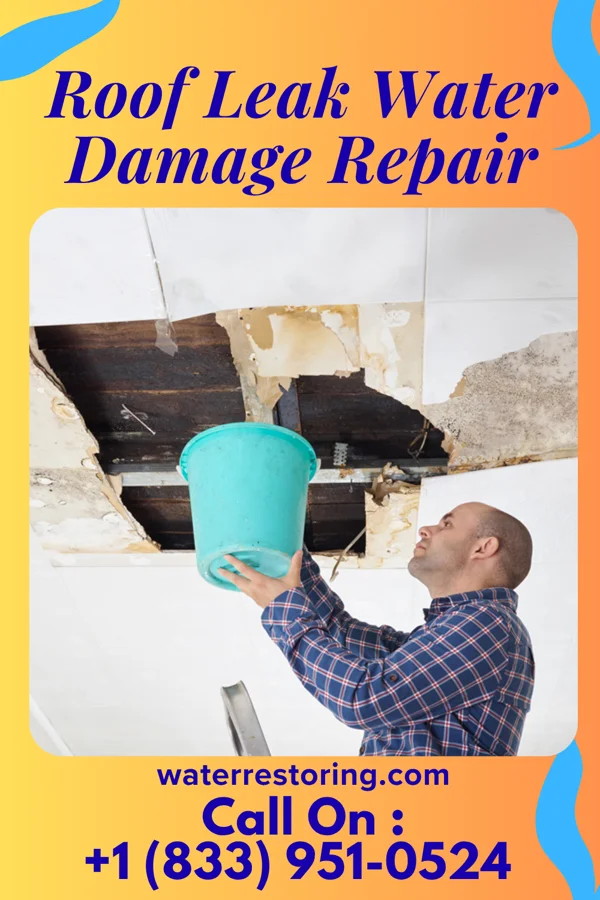 Roof Leak Water Damage Repair in Little Canada, MN