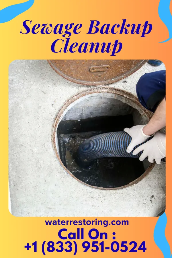 Sewage Backup Cleanup in Little Canada, MN