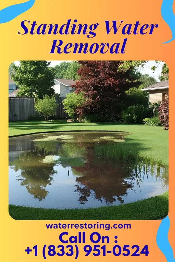 Standing Water Removal in Little Canada, MN